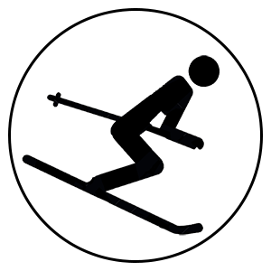 pictogramme ski alpin